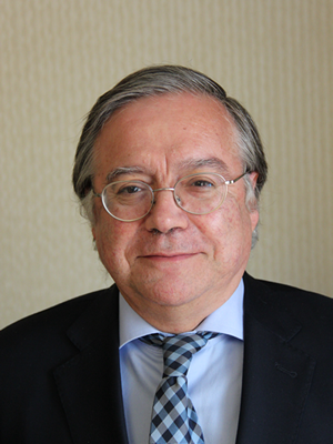 Professor Renato Verdugo
